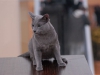 dsc_0247.jpg