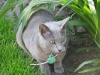 suriimg_4925.jpg